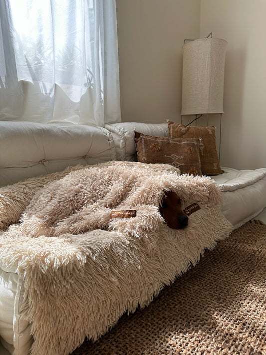 Couverture douillette