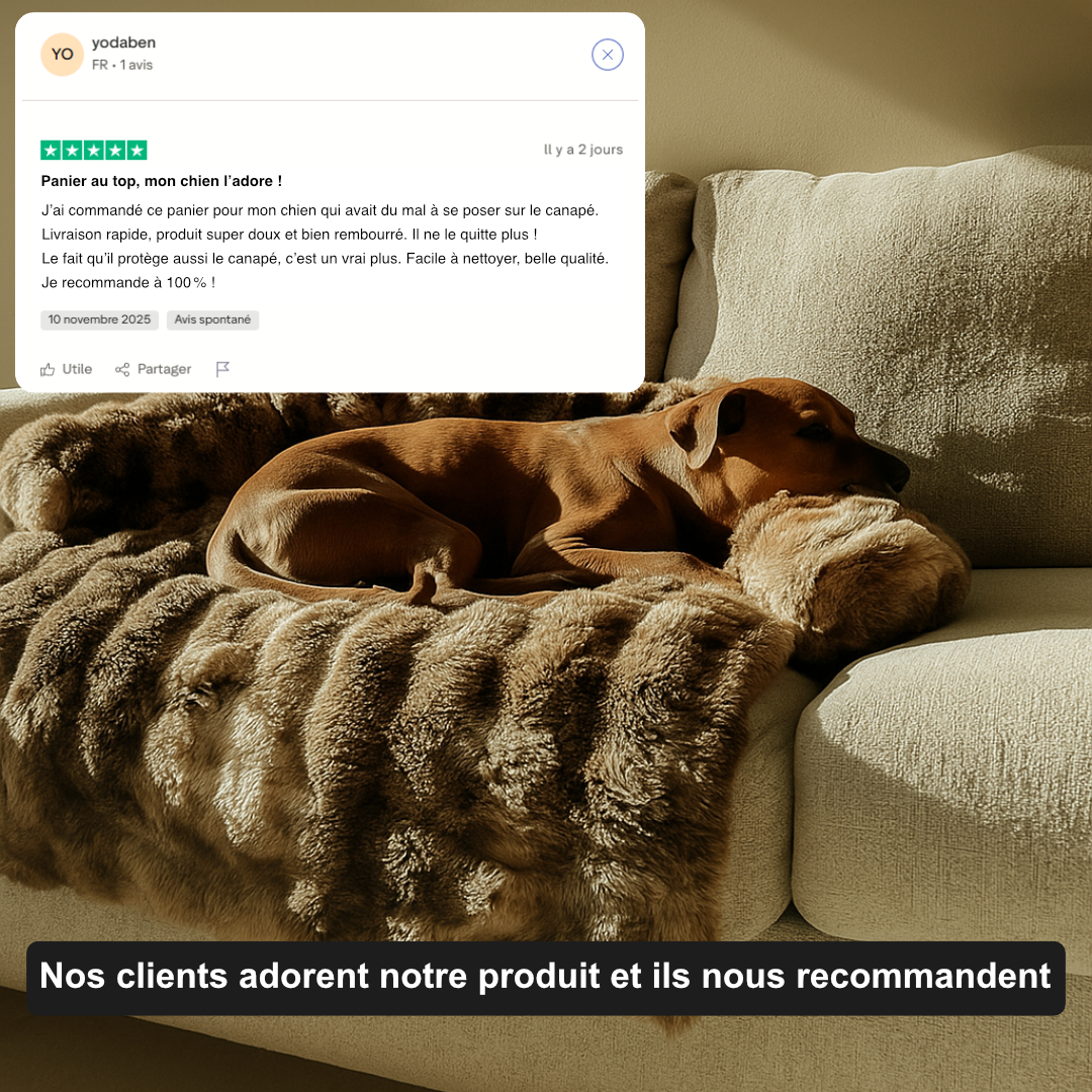 Canapé-lit Milena Premium (1+1 GRATUIT)