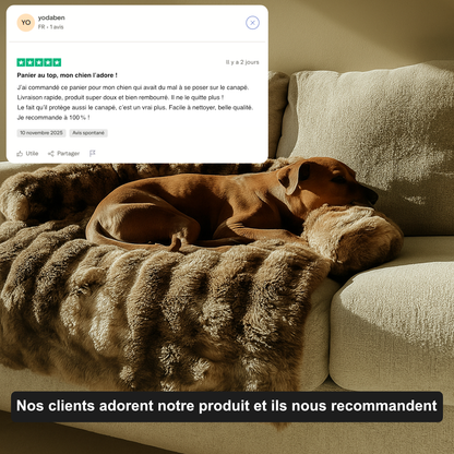 Canapé-lit Milena Premium (1+1 GRATUIT)