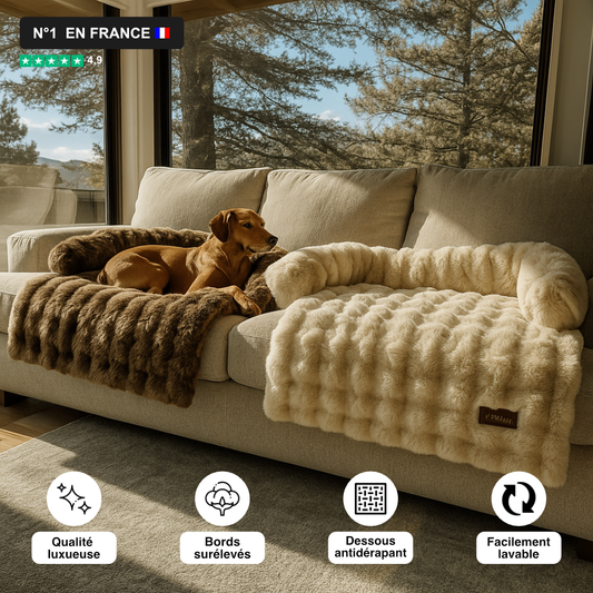 Canapé-lit Milena Premium (1+1 GRATUIT)